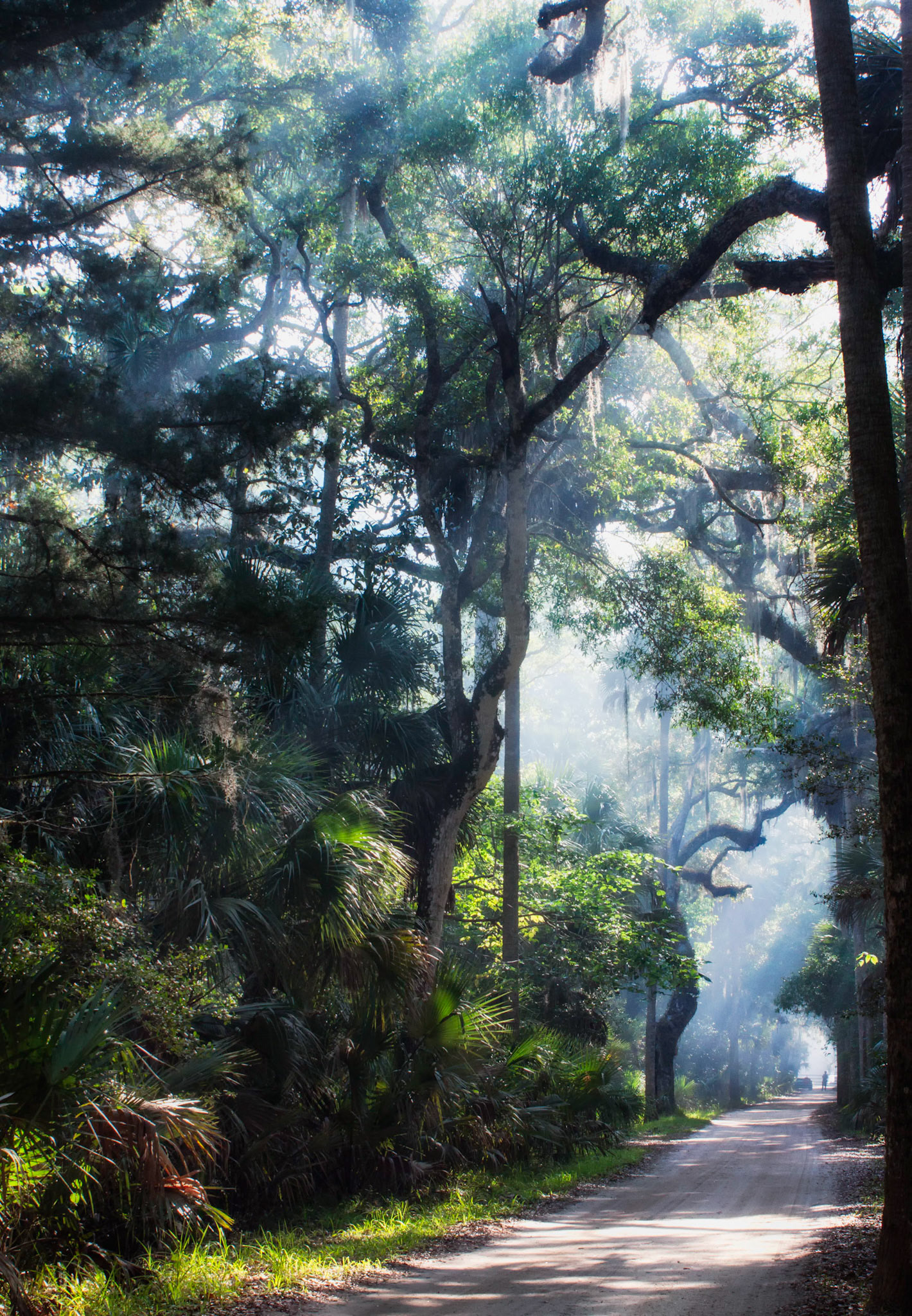 The End of the Road v2