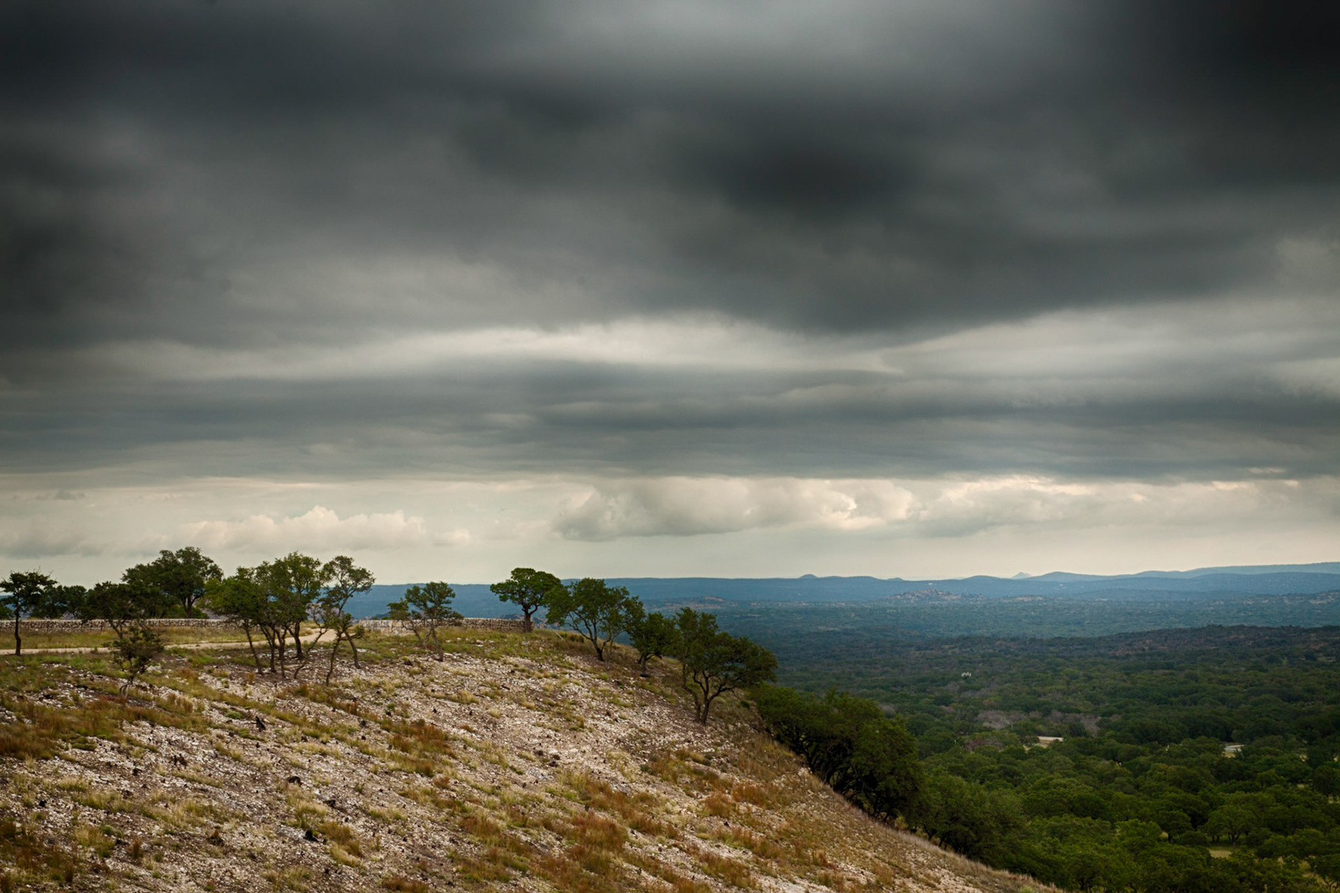 South Texas View