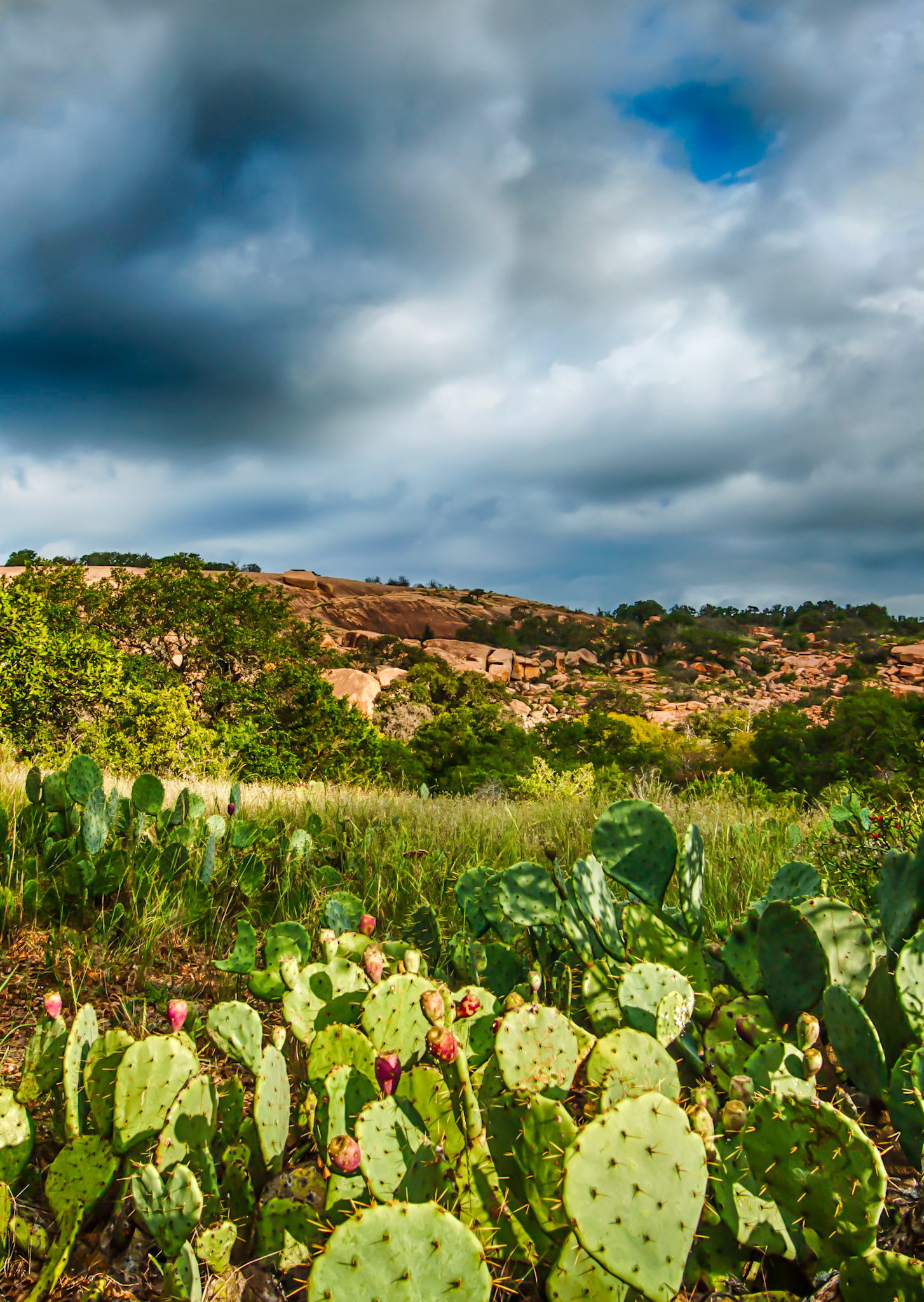Enchanted Rock Nature Preserve