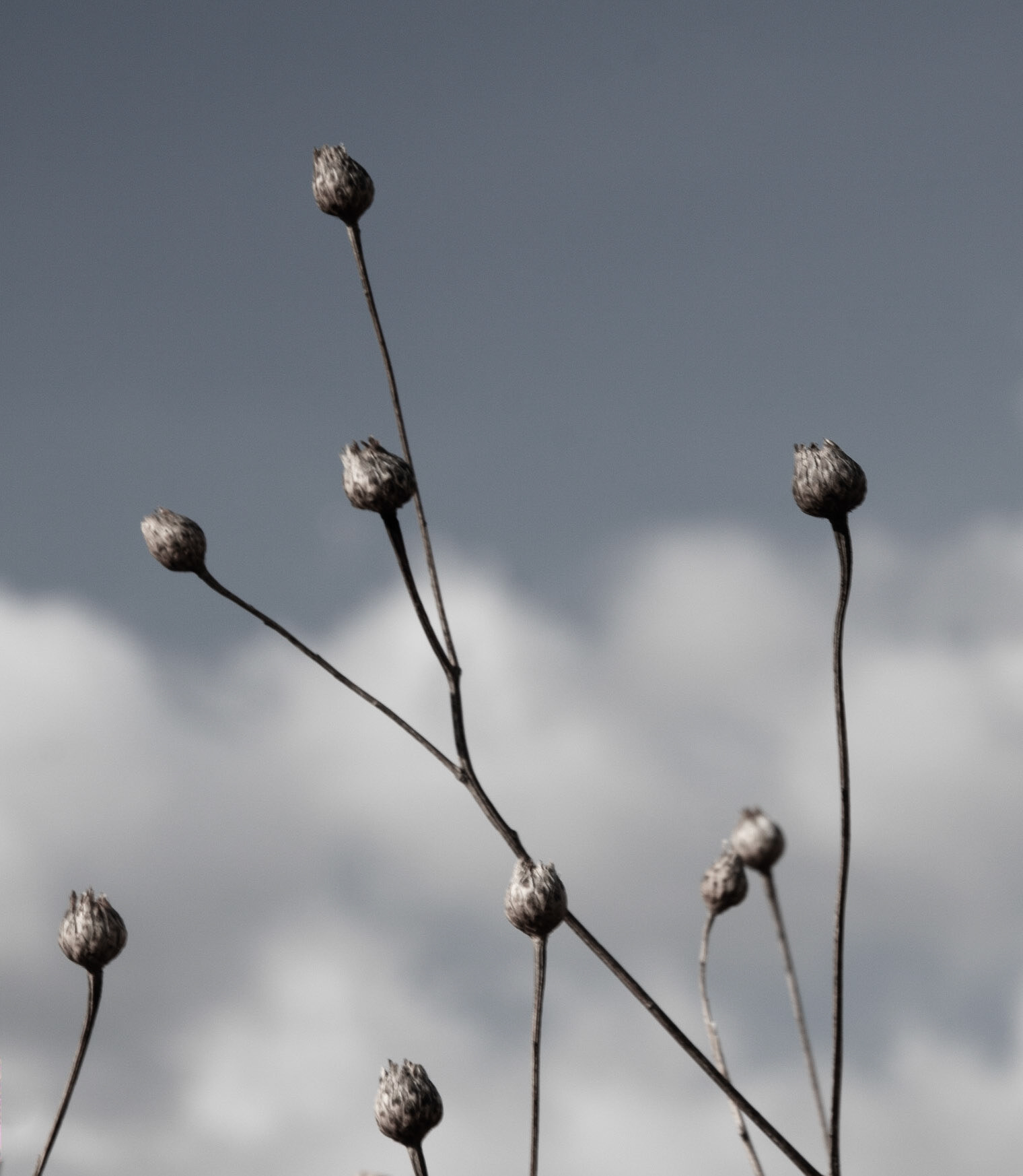 Pods 2