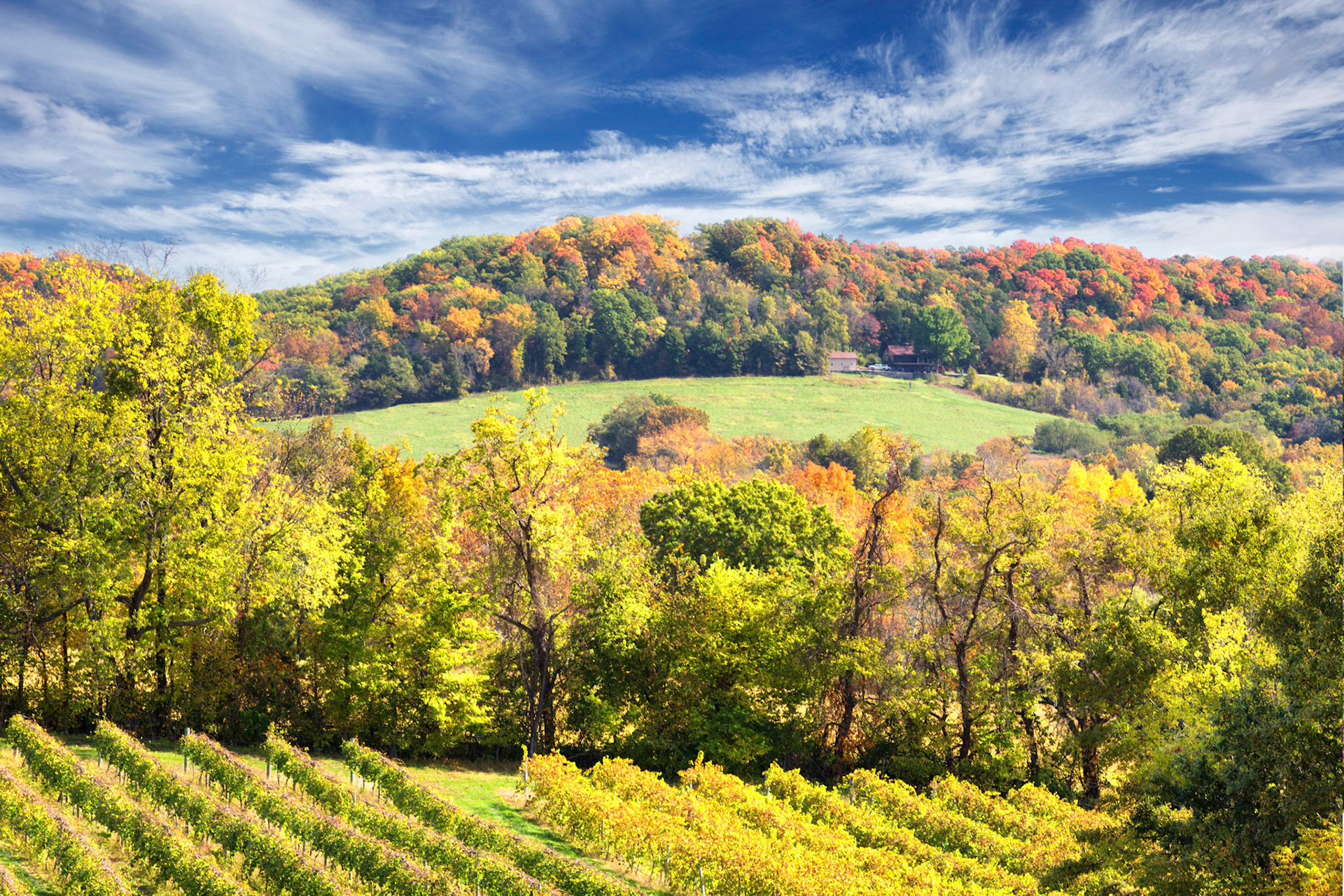Autumn at the WInery