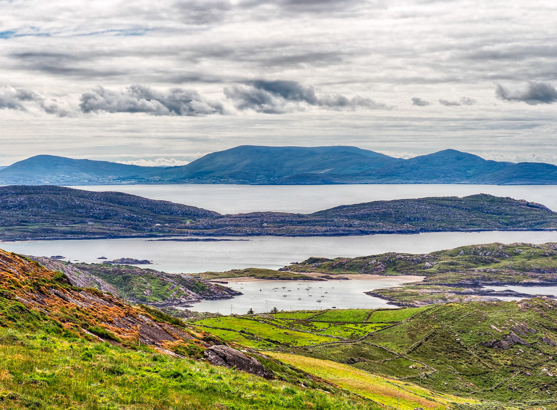 Ring of Kerry Delight