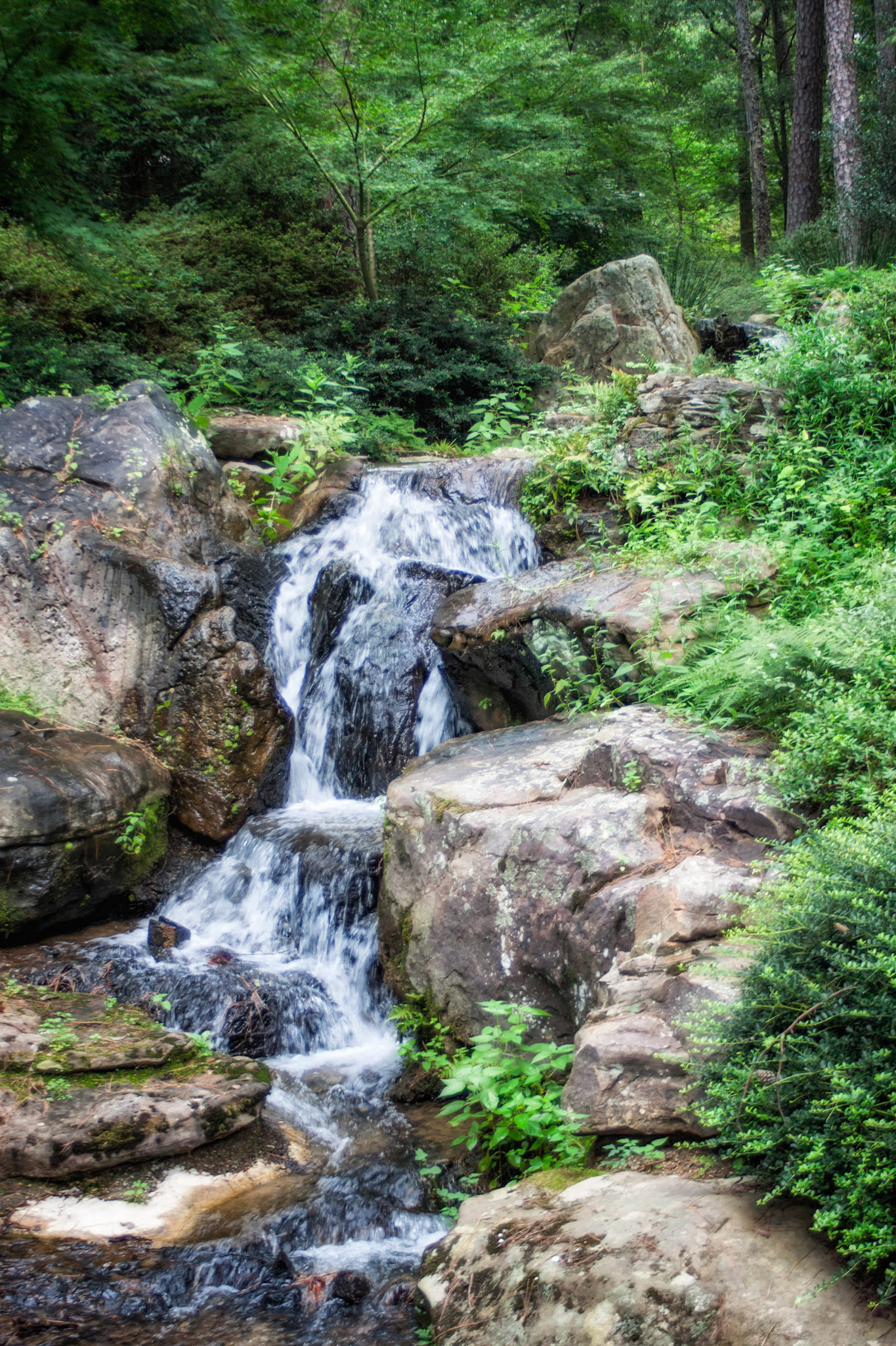 Woodland Waterfall v2