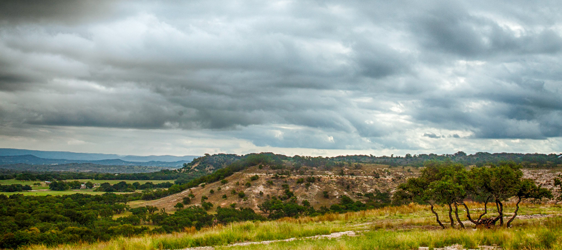 South Texas Landscape 2