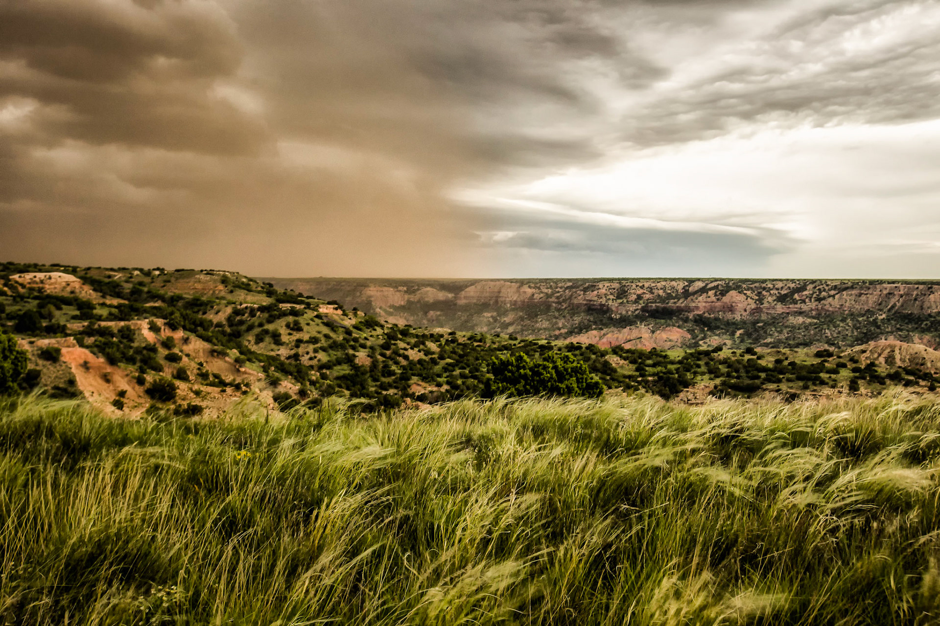 Big Brown Storm Palo Duro Canyon, Texas