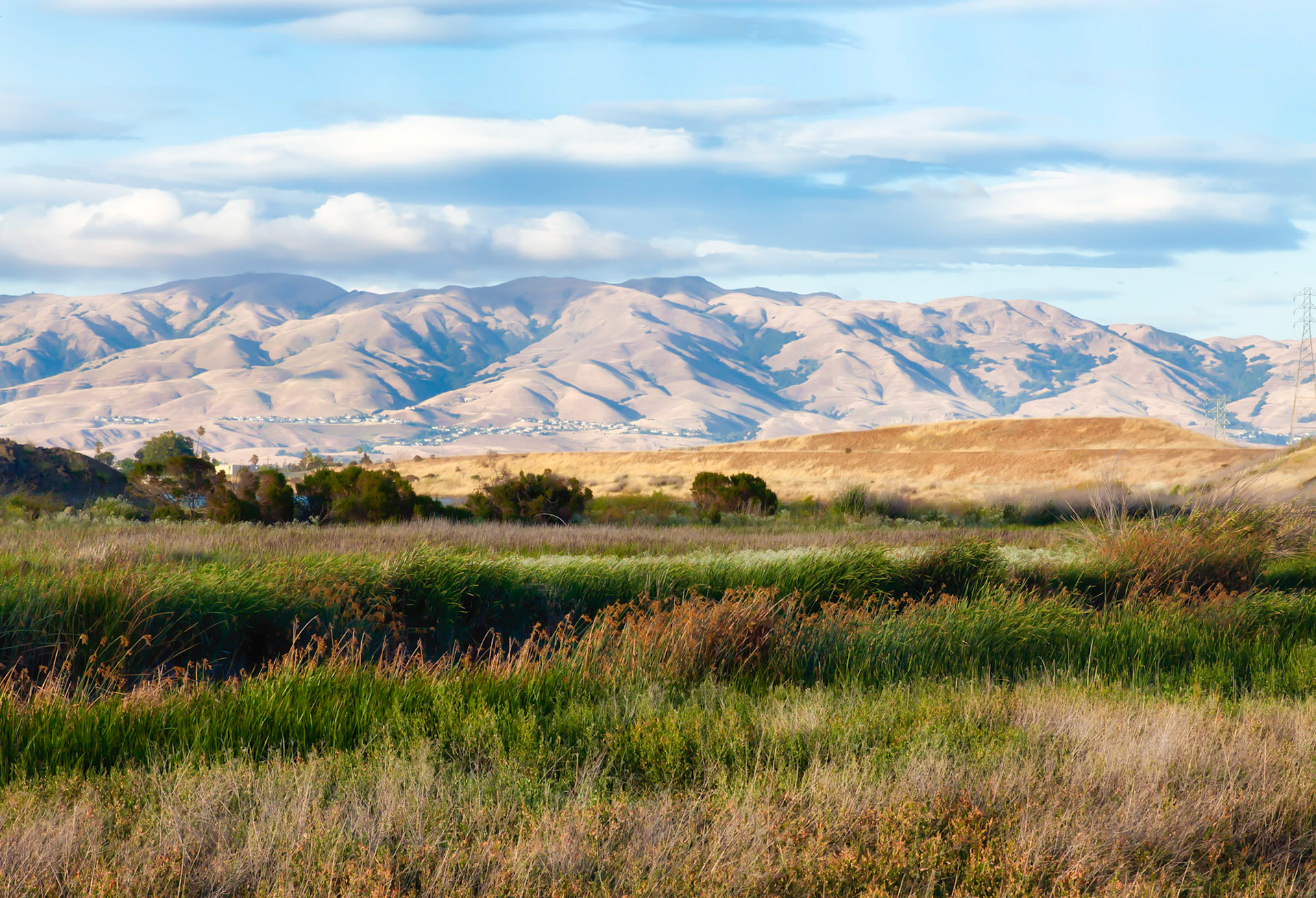 Baylands Nature Preserve 2