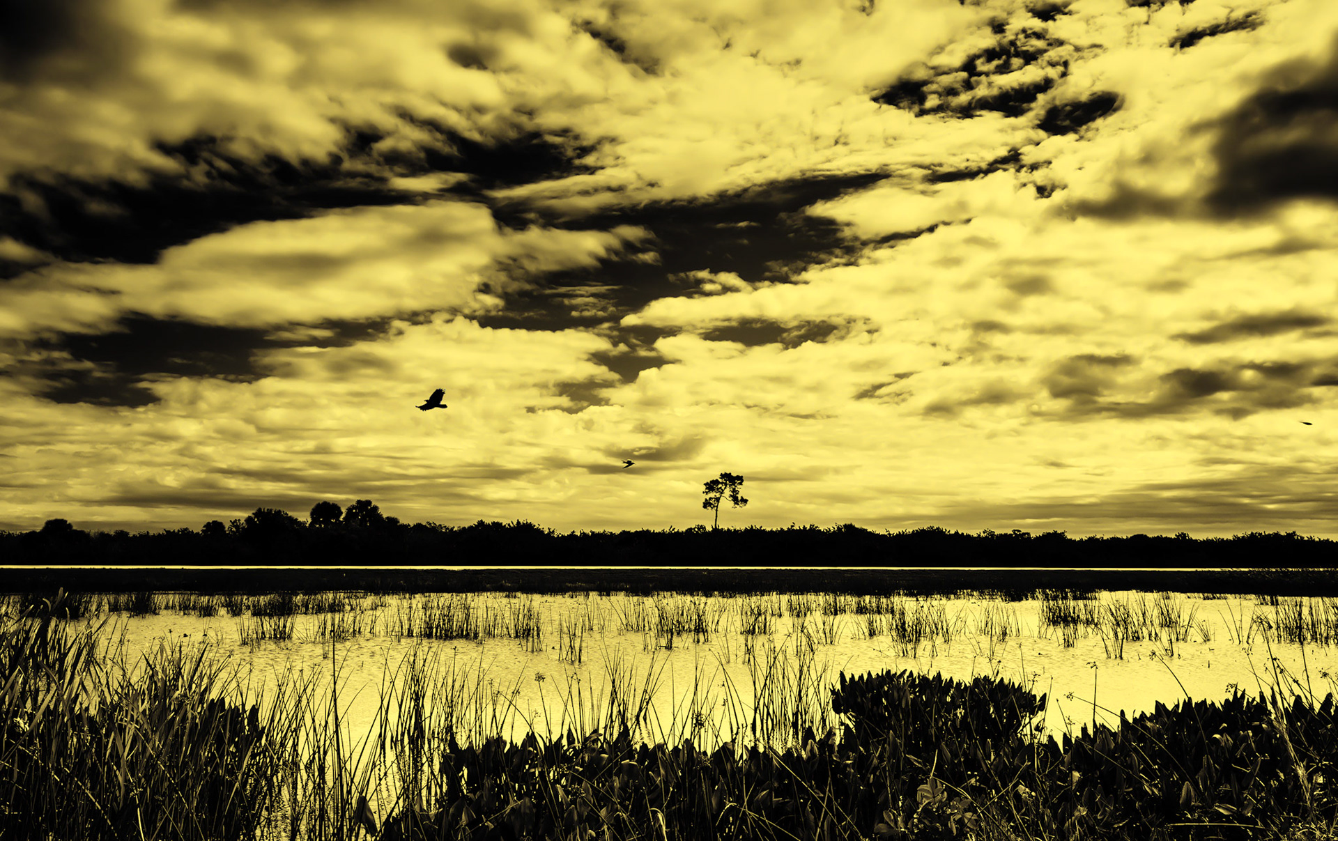 Going Home Gold & Black