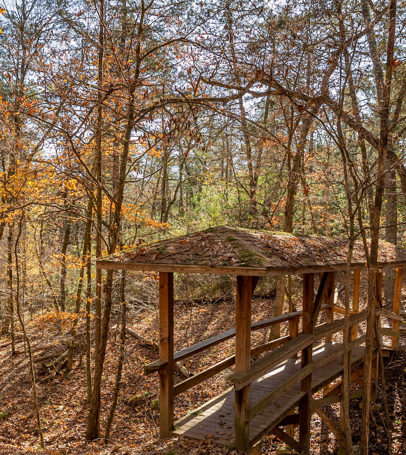 Tiny Covered Bridge