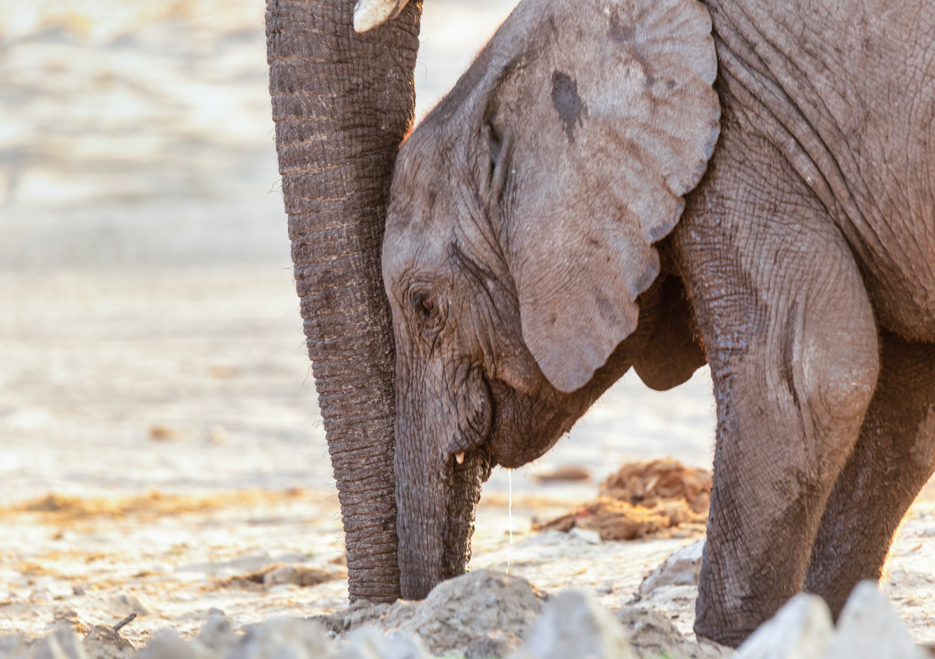 Very Small Water Hole