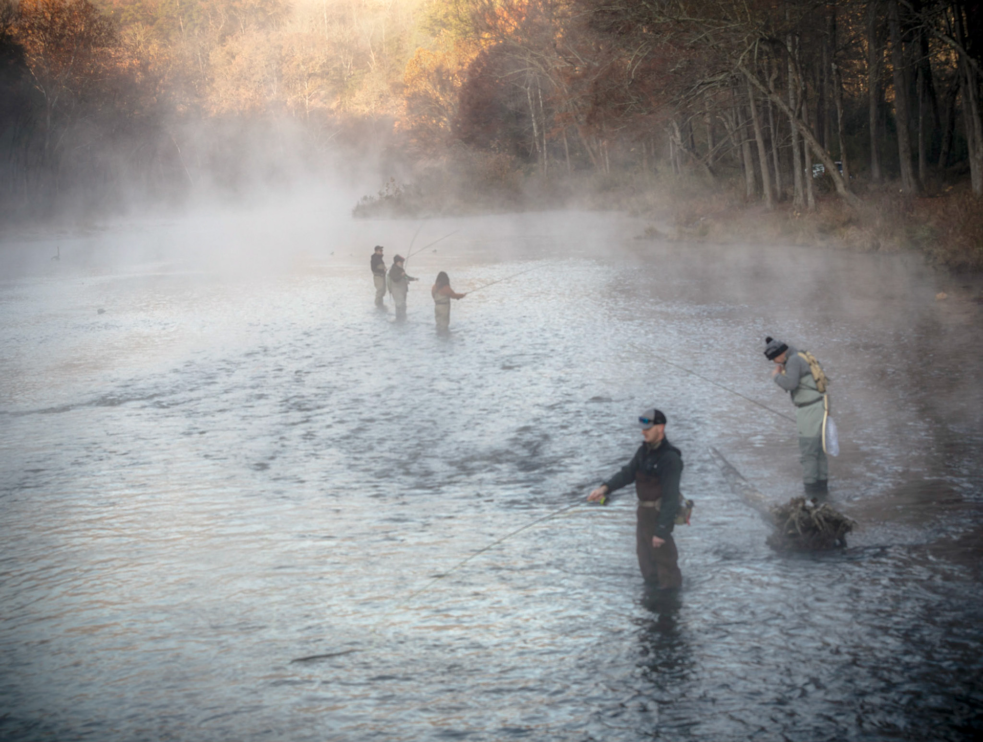 Misty Morning Angling