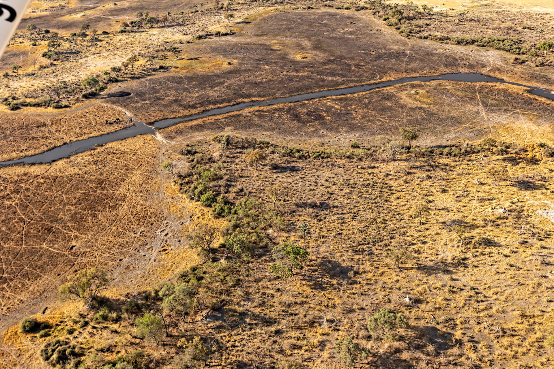 A River Runs Through It