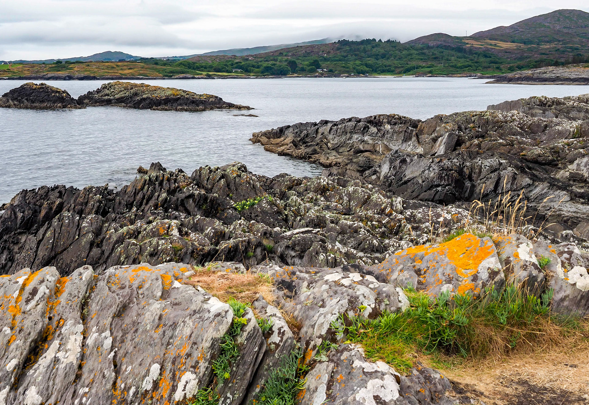 Mizen Head View 