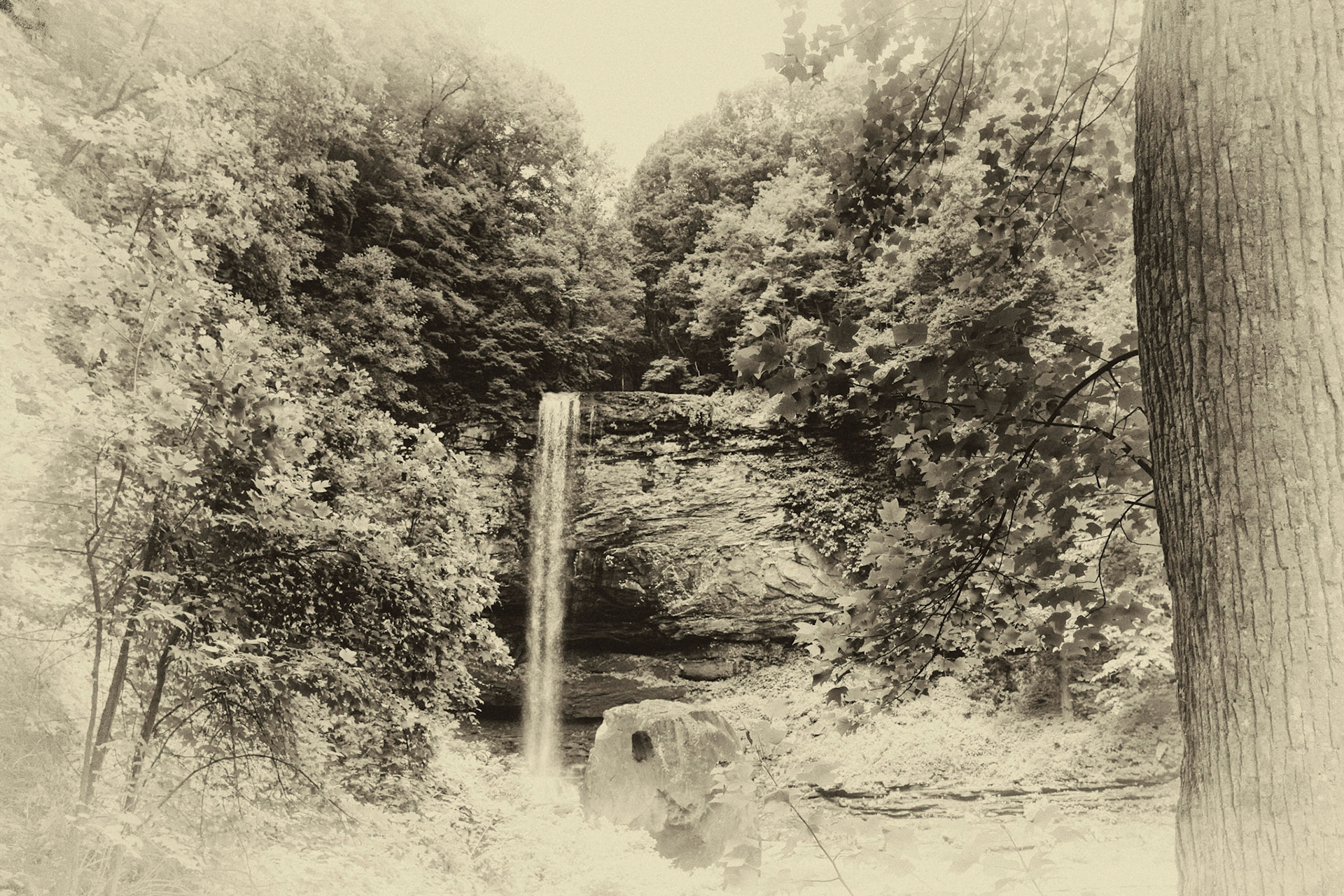 Cloudland Canyon Waterfall Antique