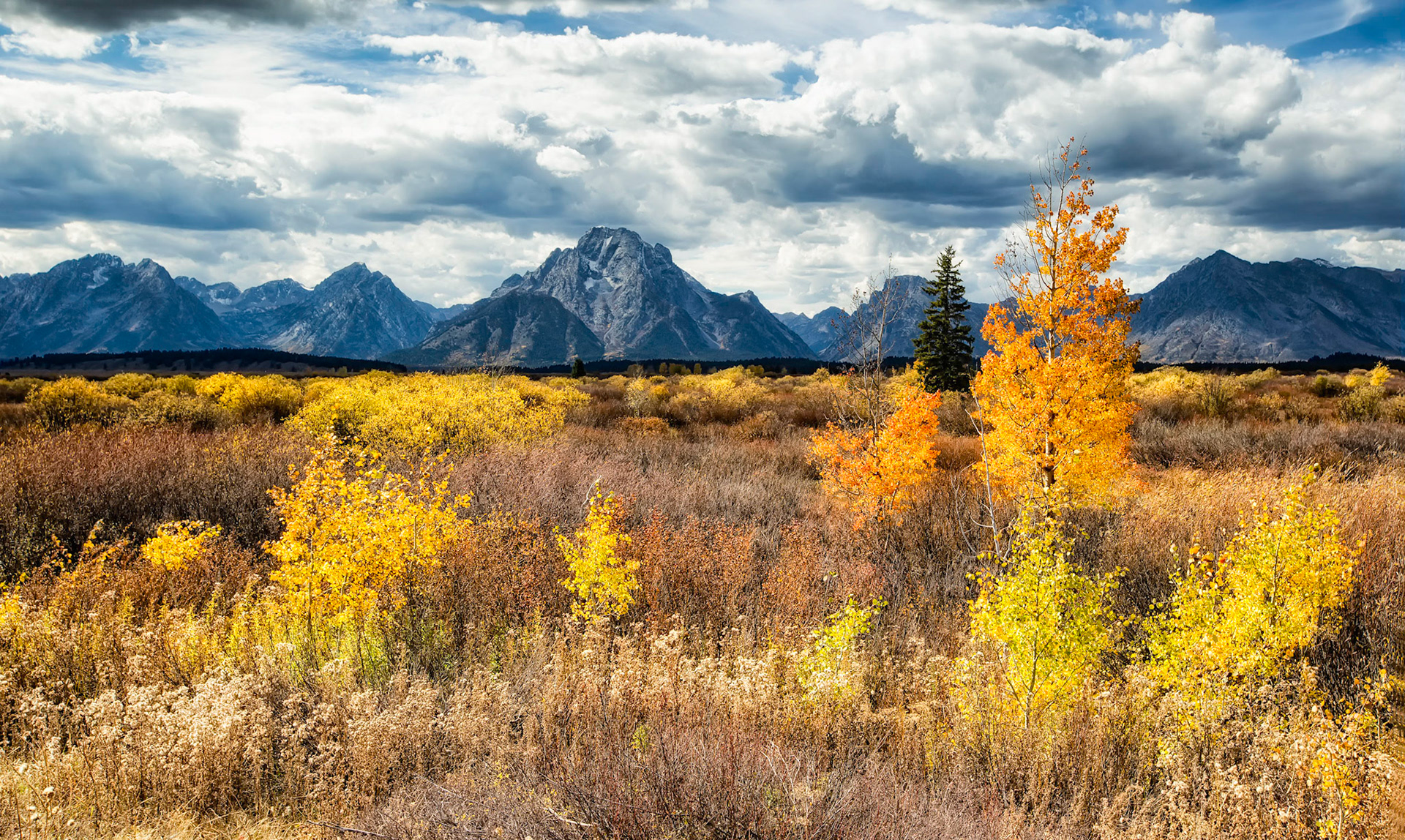 Teton Beauty v2