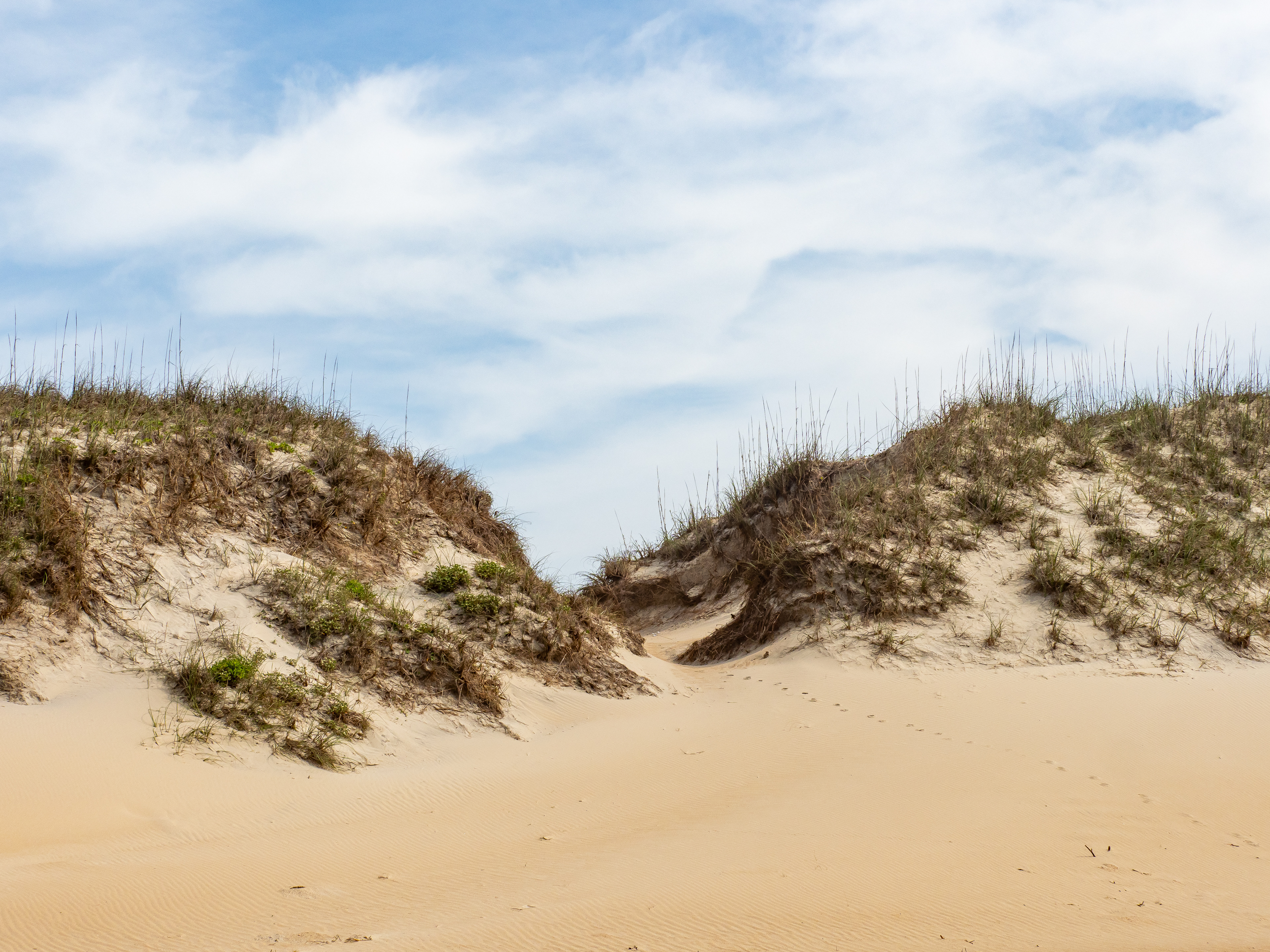 OBX Dunes