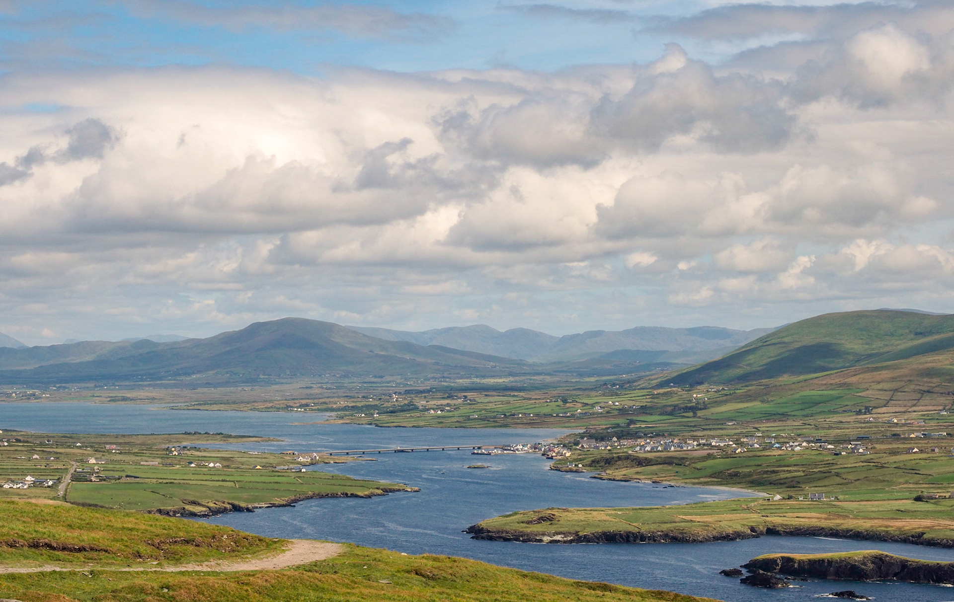 Skellig Island Beauty