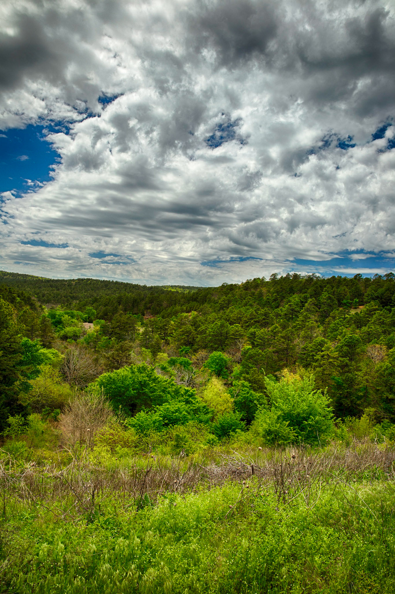 Robbers Cave State Park