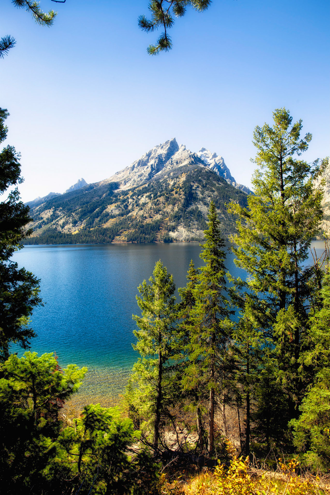 Jenny Lake
