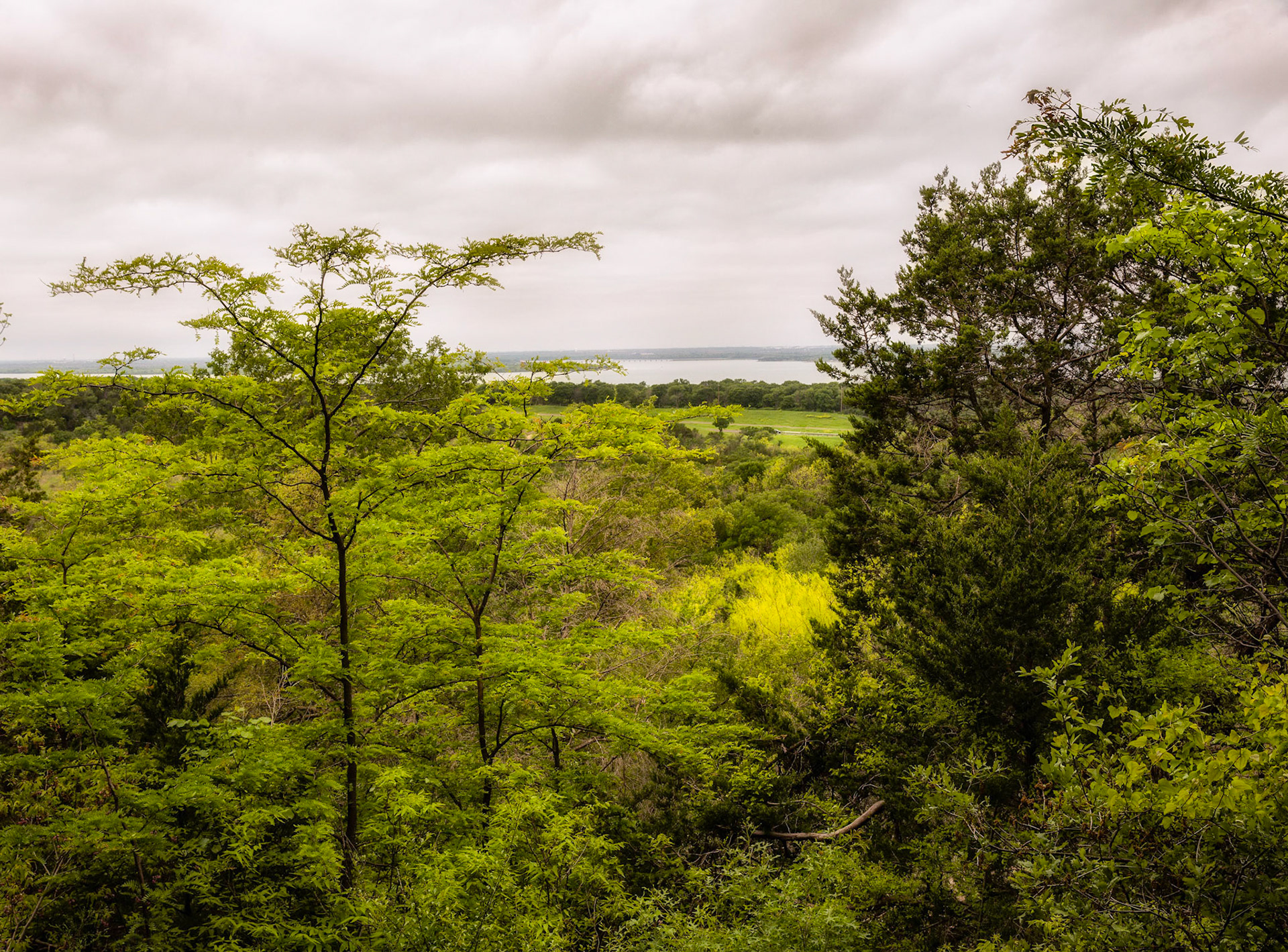 Cedar Hill Nature Preserve Overlook
