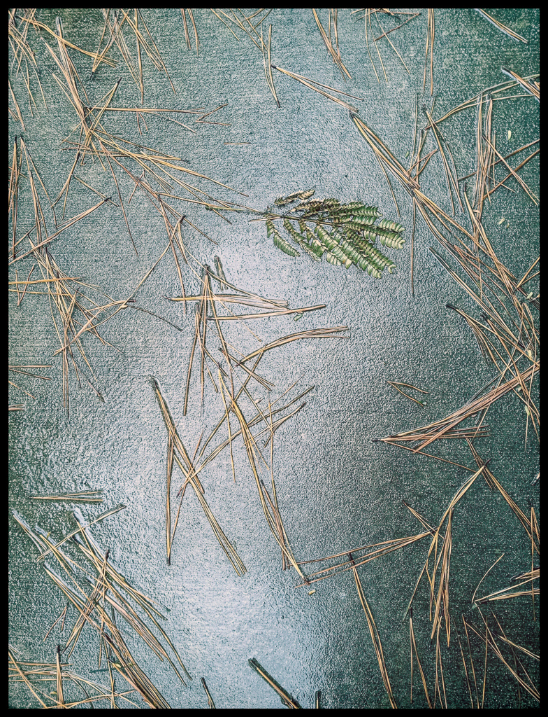 Sidewalk Abstract