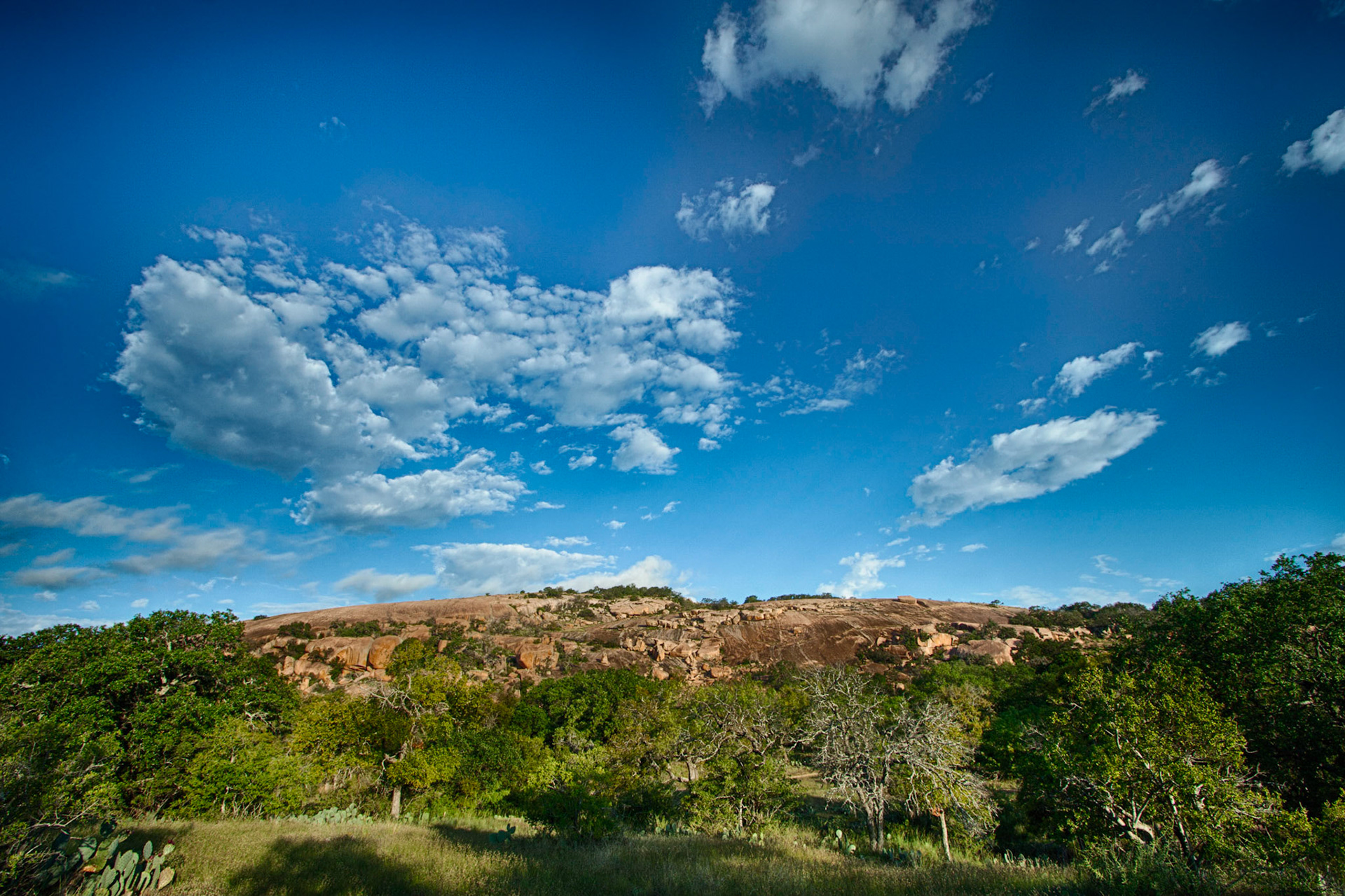 Torrey Pines Park