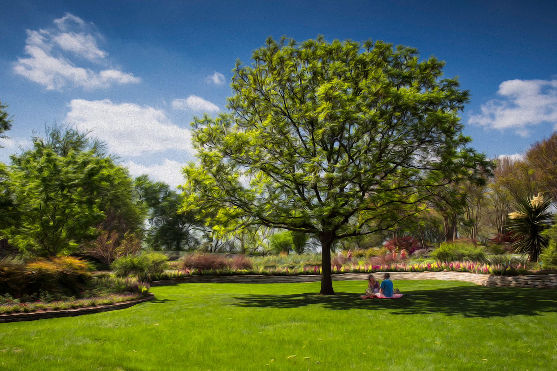 Picnic Under the Tree
