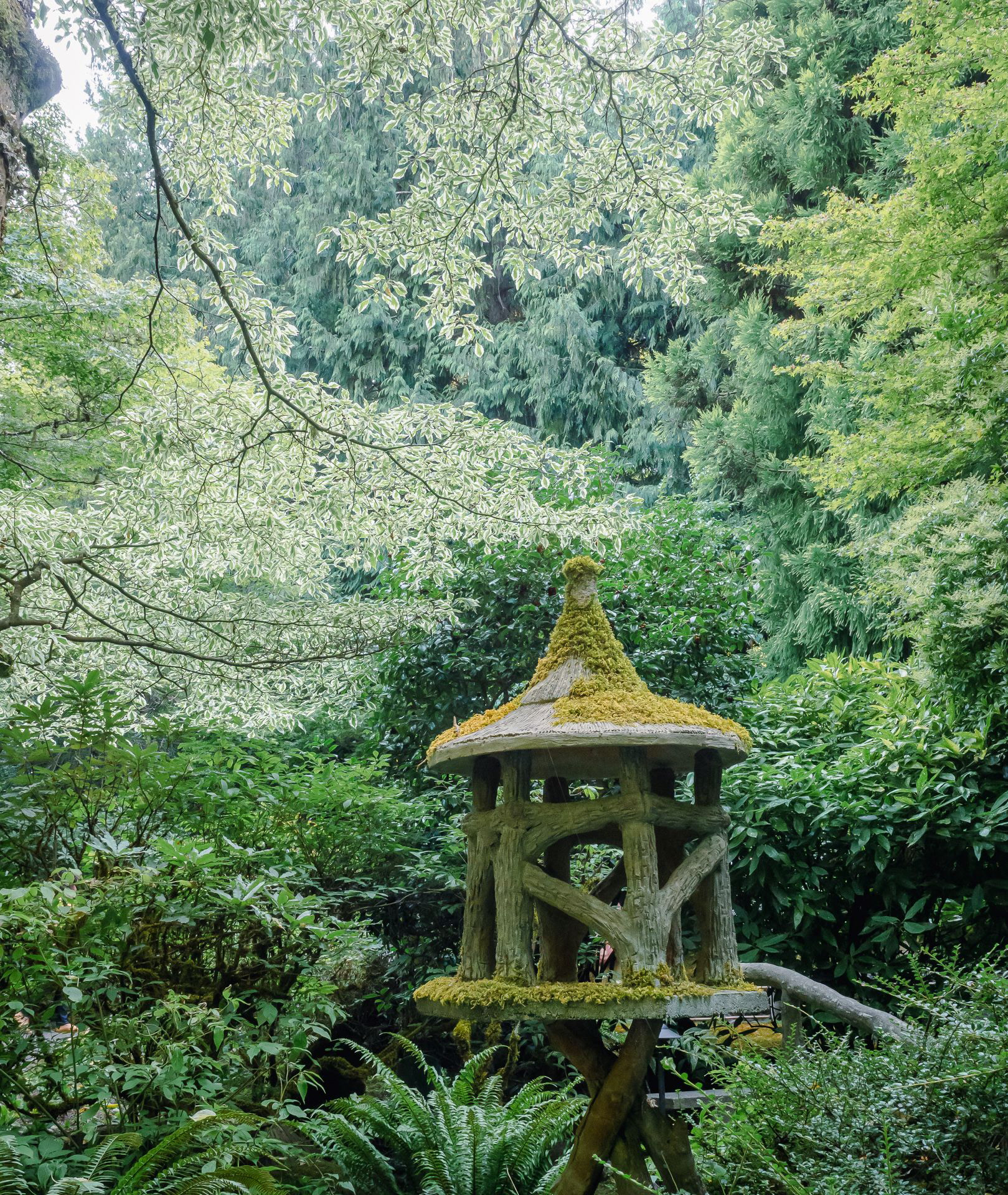 Japanese Garden Scene