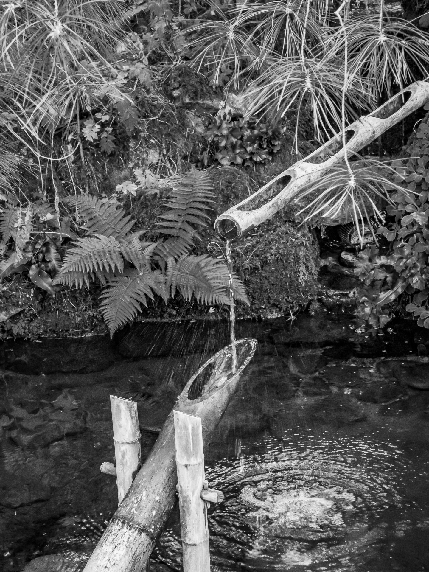 Japanese Garden Fountain