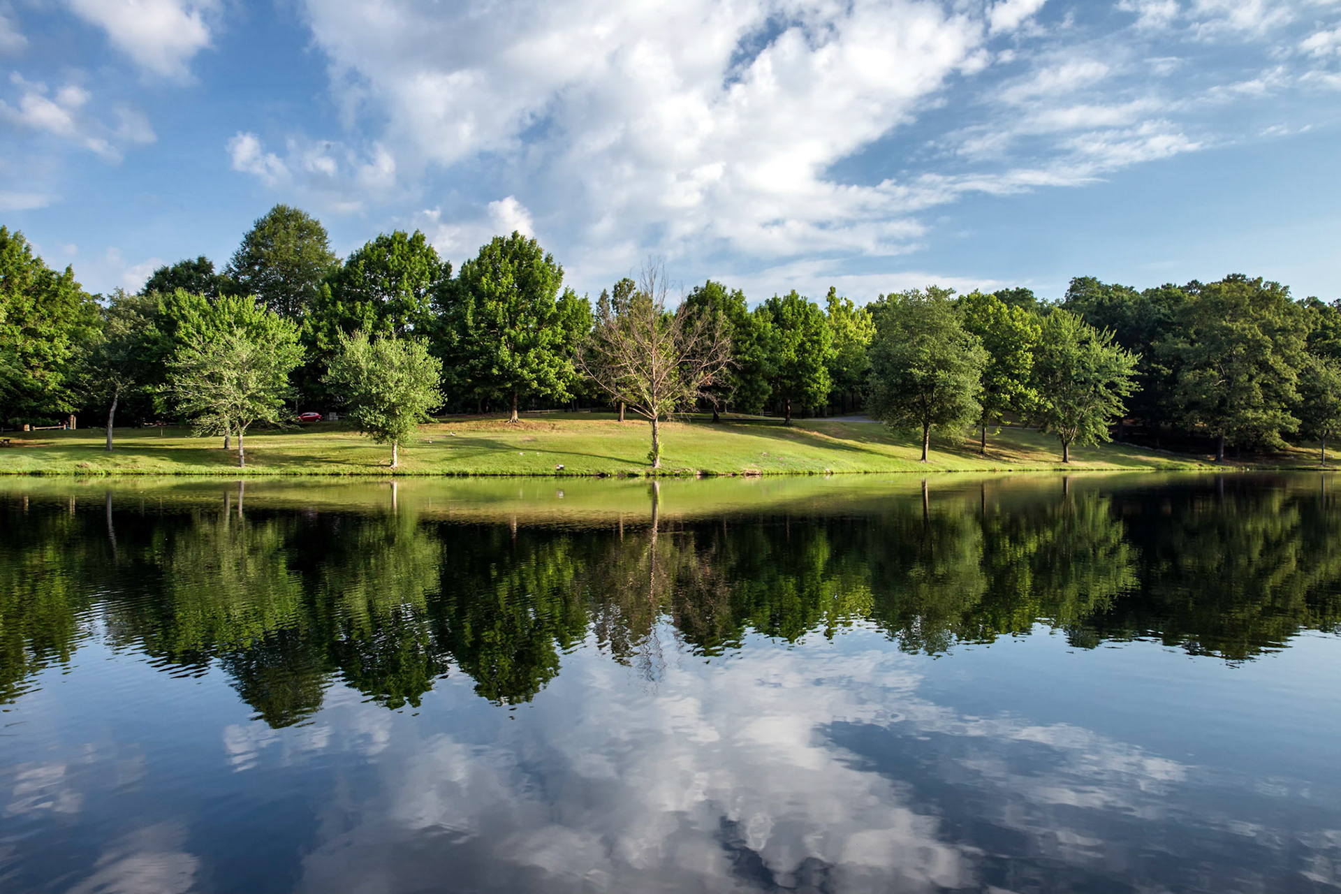 Sloppy Floyd Tree Stand