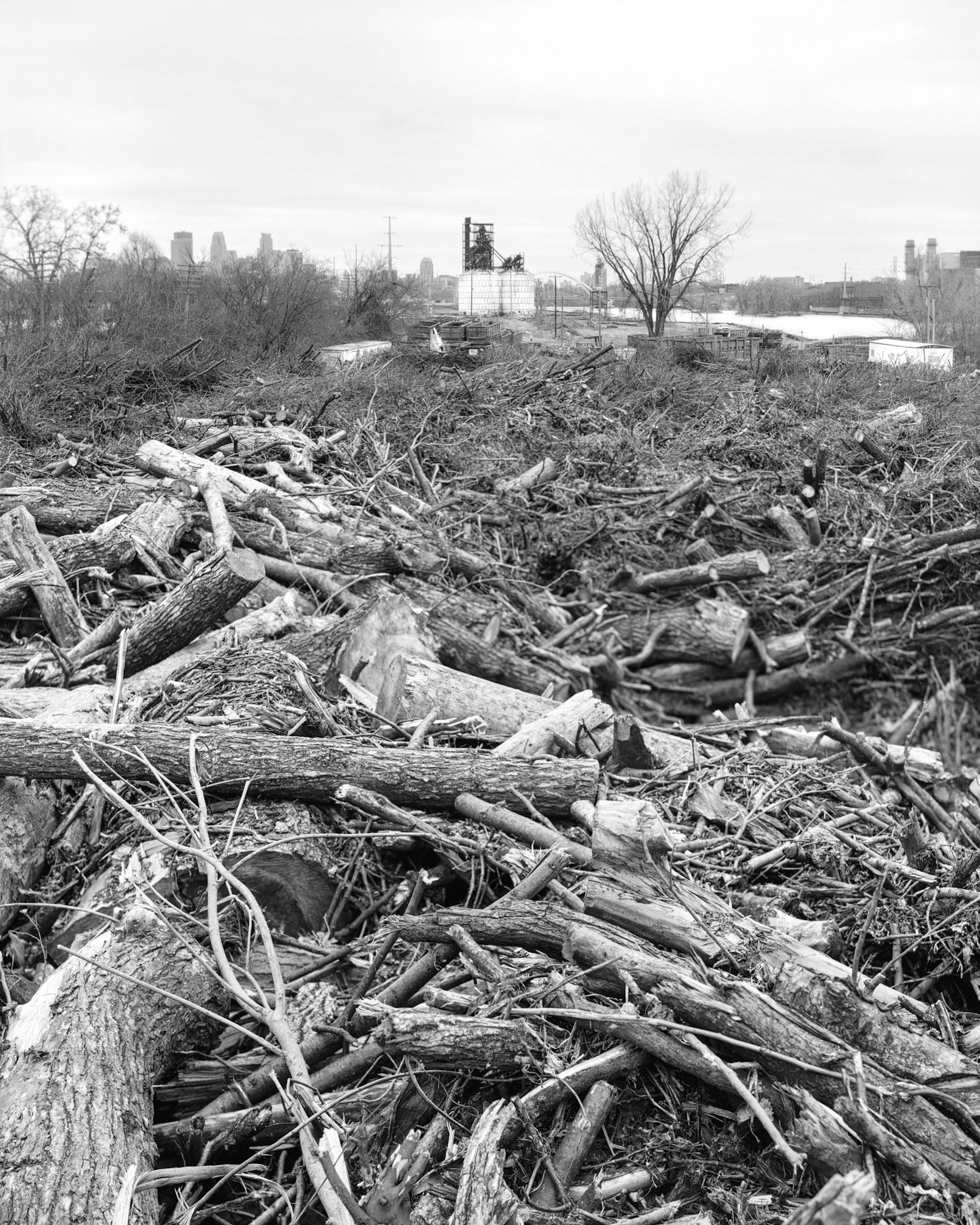 Camden, Minneapolis, 2024