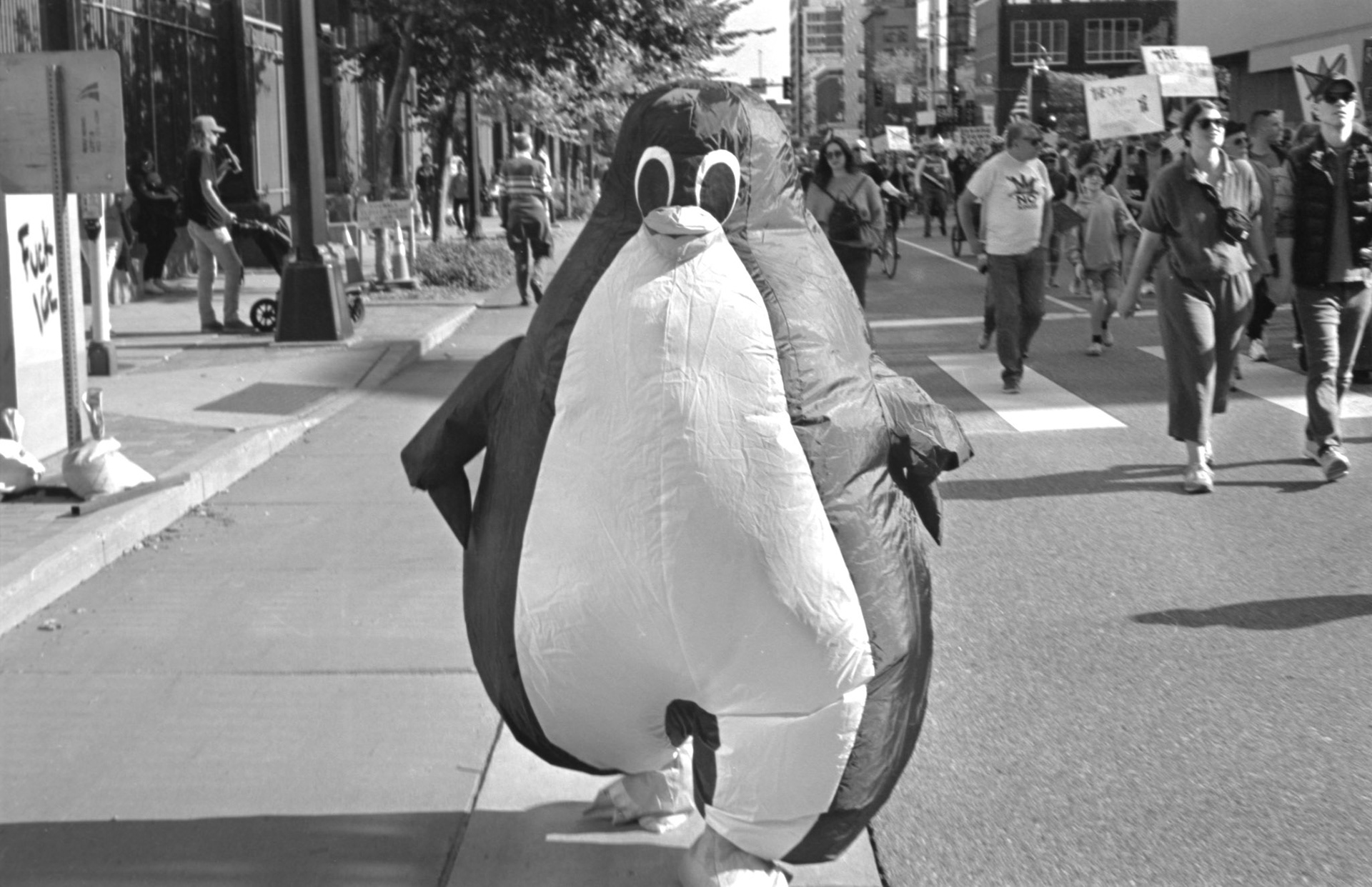 No Kings, October 2025