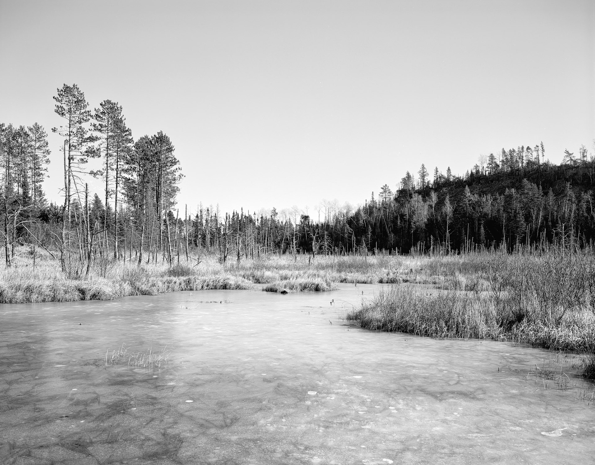 Sawbill Trail, Minnesota, 2025
