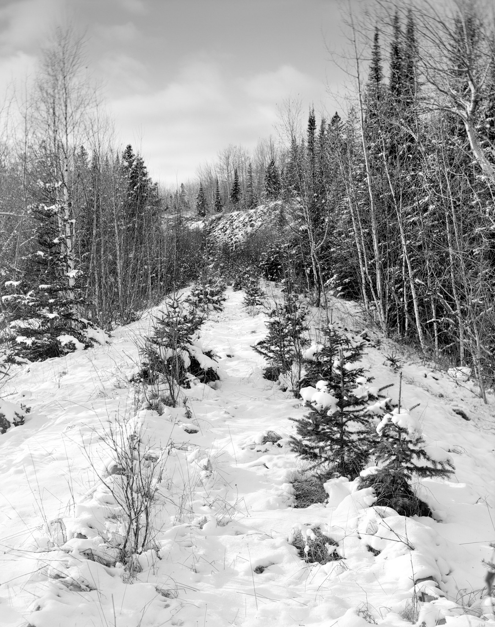 Abandoned Railroad Spur, North Shore of Lake Superior, 2024.