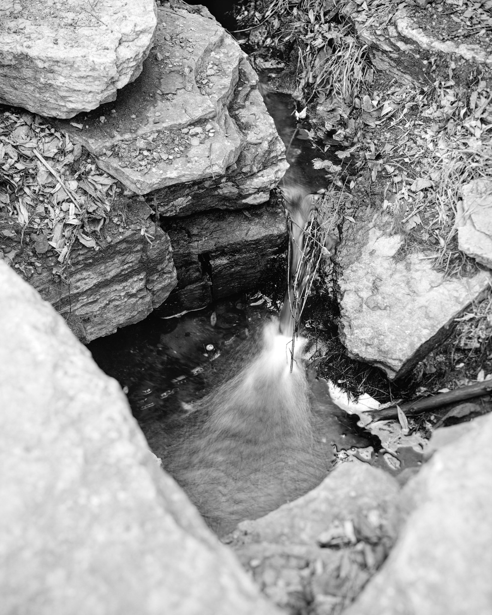 Stream at Wakan Tipi, St. Paul, 2024