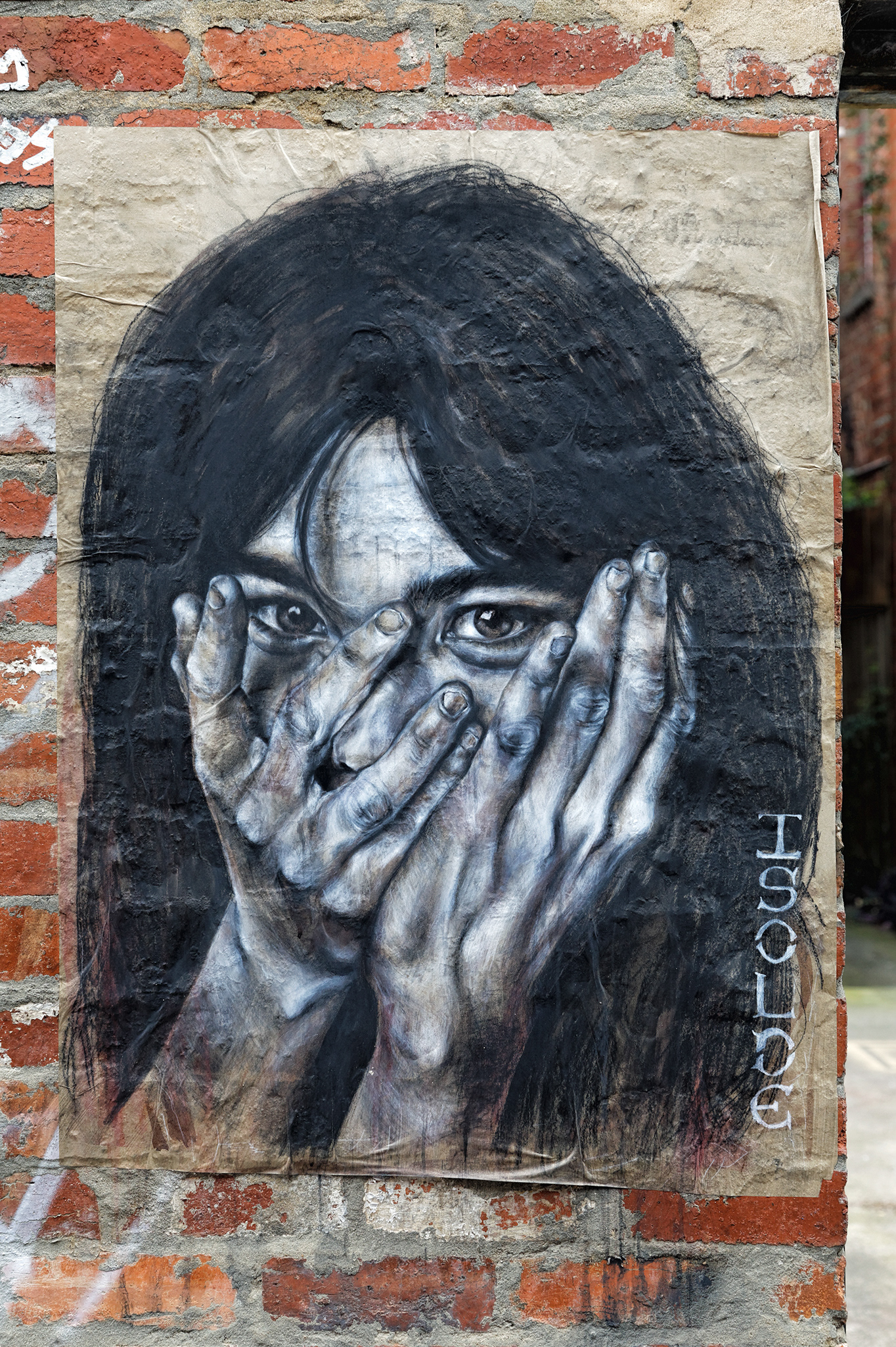 Fitzroy Nov 2013