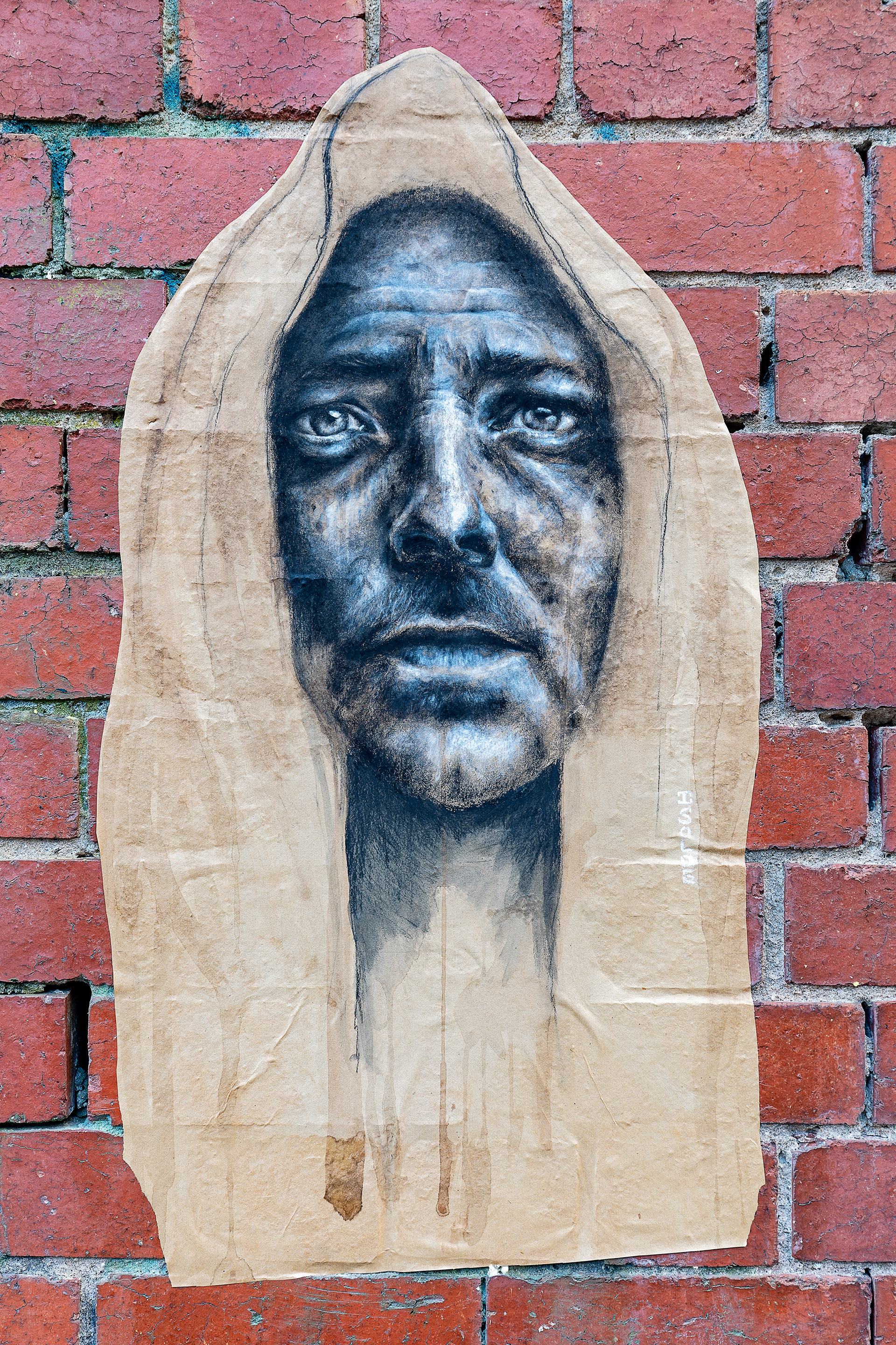 Fitzroy Nov 2020
