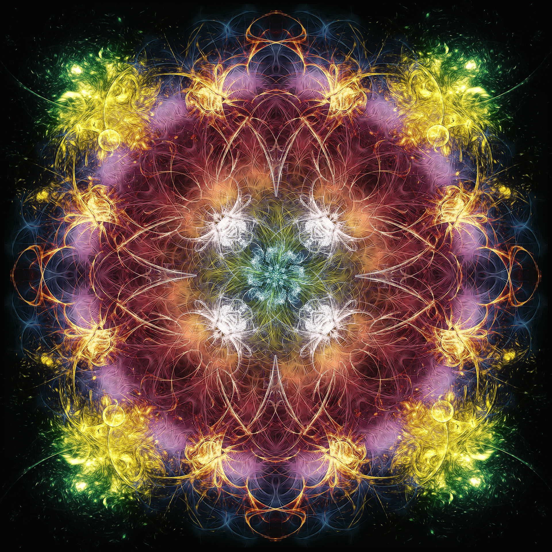 Fractal Patterns (2017)