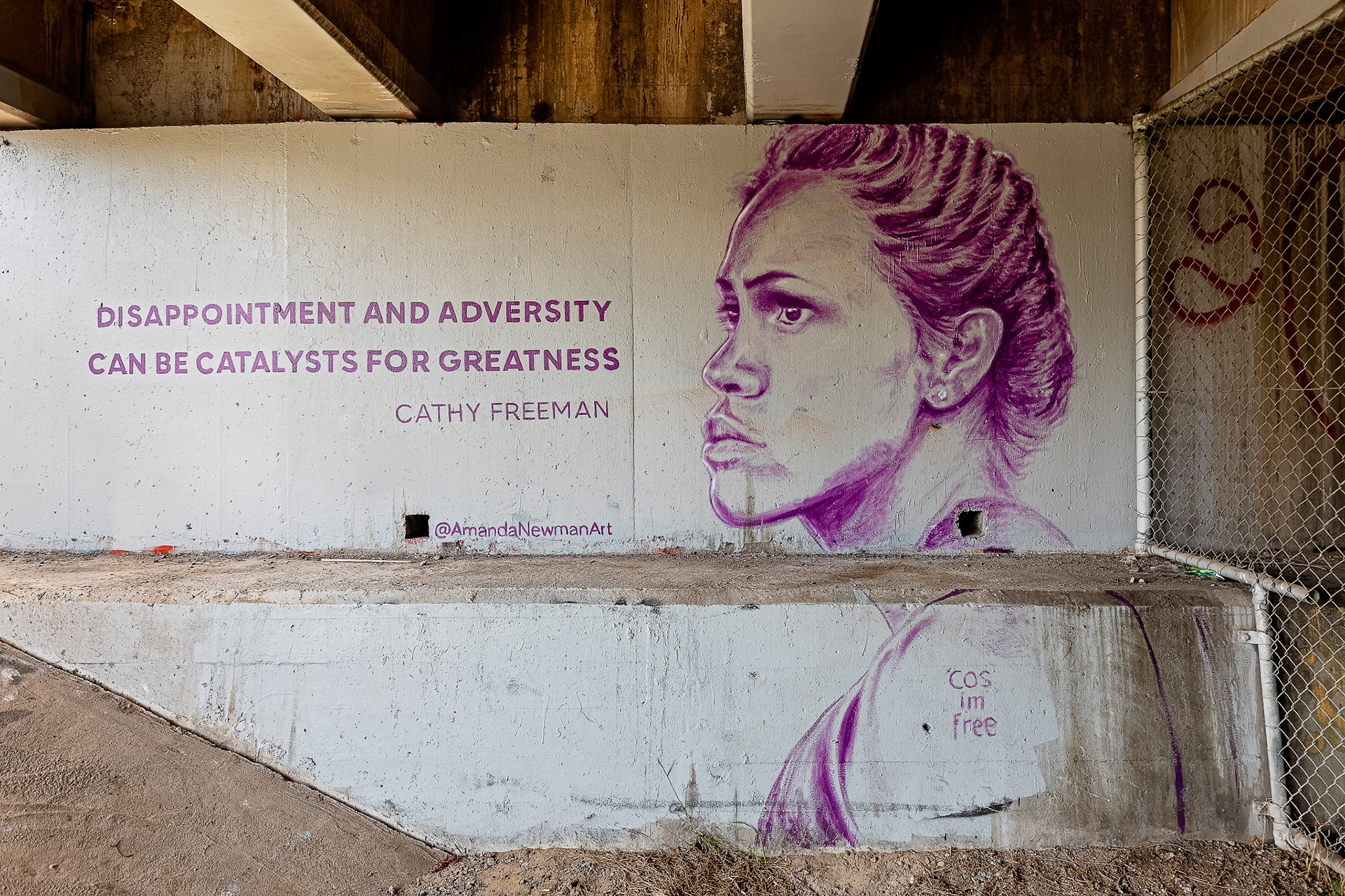 Disappointment and Adversity can be Catalysts for Greatness (Oct 2020)