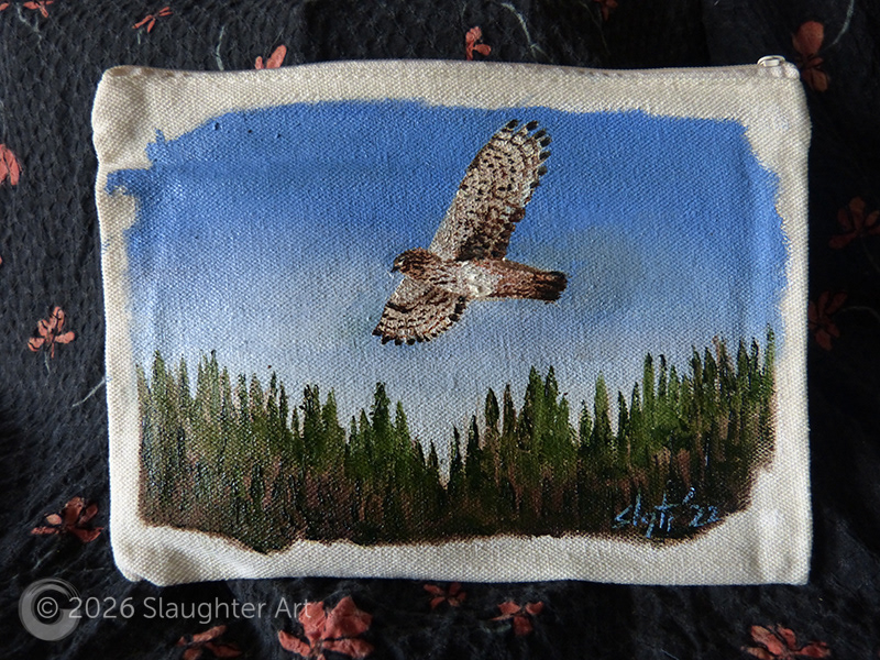 Hawk About 6"x4" - $100