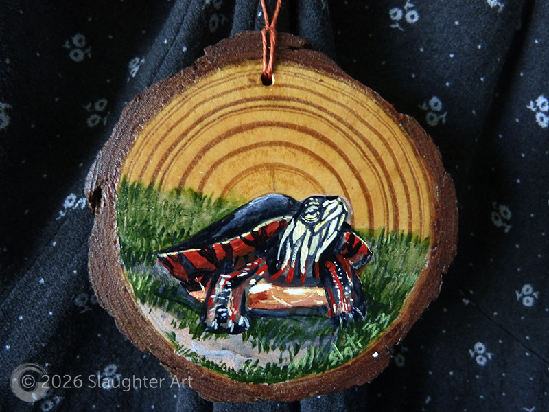 Painted Turtle About 3"x3" - $35