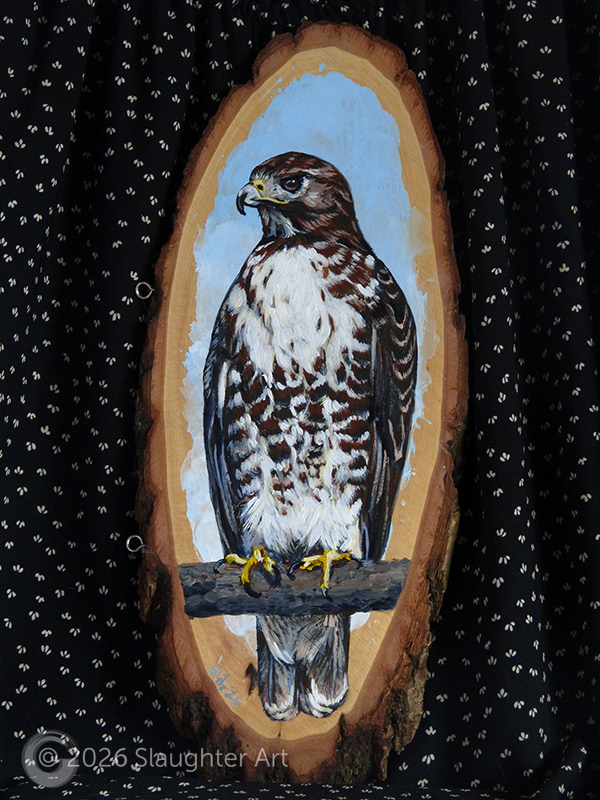 Red Tailed Hawk About 6"x12" - $150
