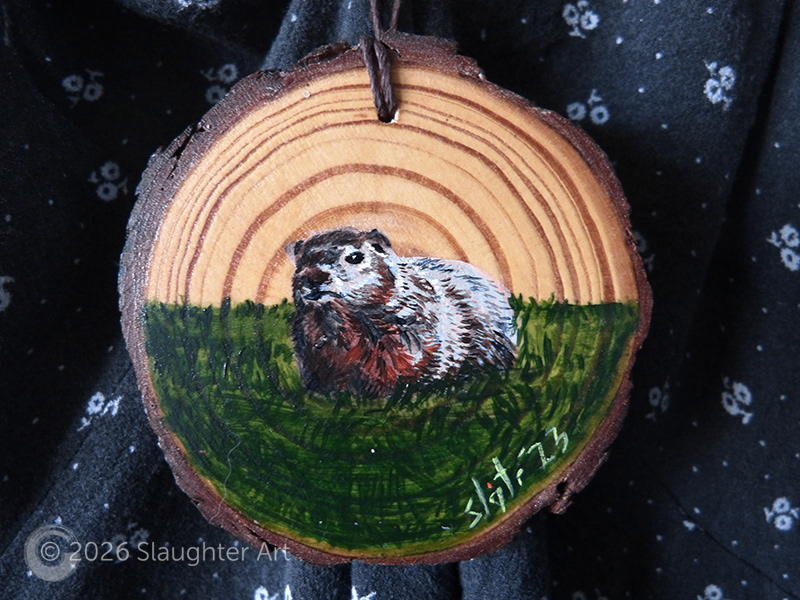 Groundhog About 3"x3" - $35