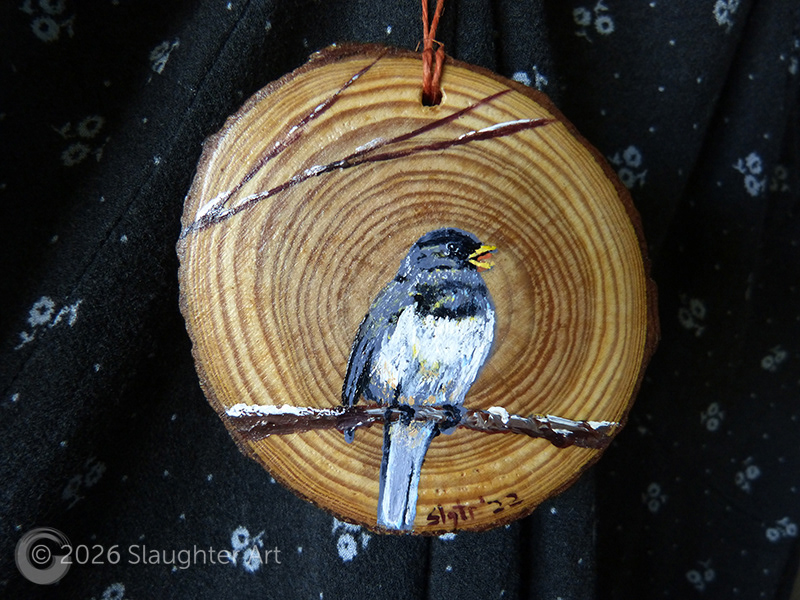  Dark Eyed Junco About 3"x3" - $35