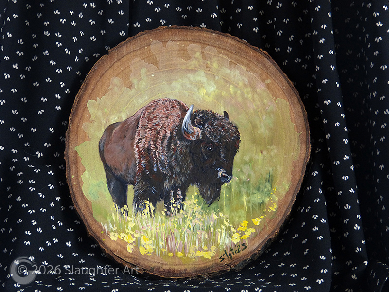  Buffalo About 8"x8" - $150