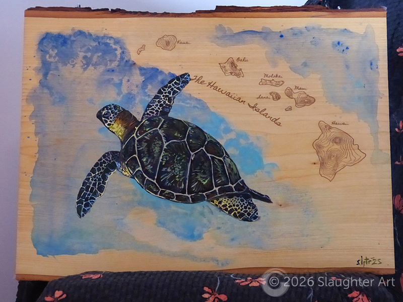  Sea Turtle with Map of Hawaii About 16"x14" - $230