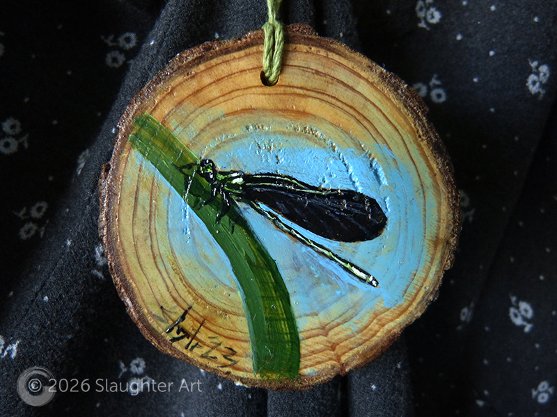 Ebony Jewelwing Damselfly About 3"x3" - $35