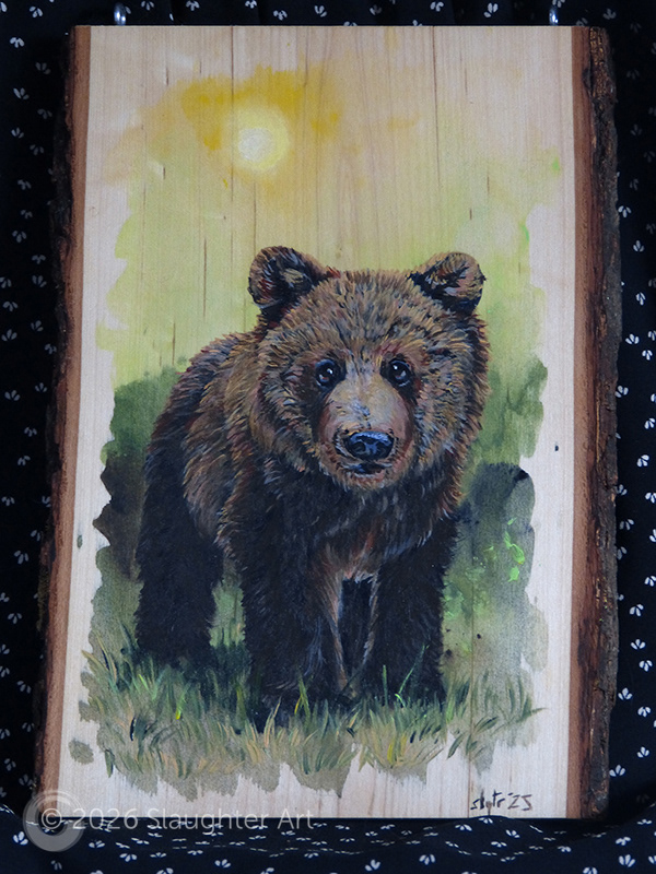 Baby Bear About 8"x12" - $150