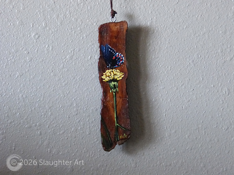  Pipevine Swallowtail Butterfly About 1.5"x6" - $50