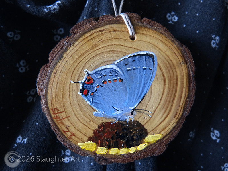  Gray Hairstreak Butterfly About 3"x3" - $35