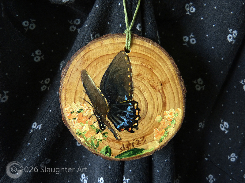 Spicebush Swallowtail Butterfly About 3"x3" - $35